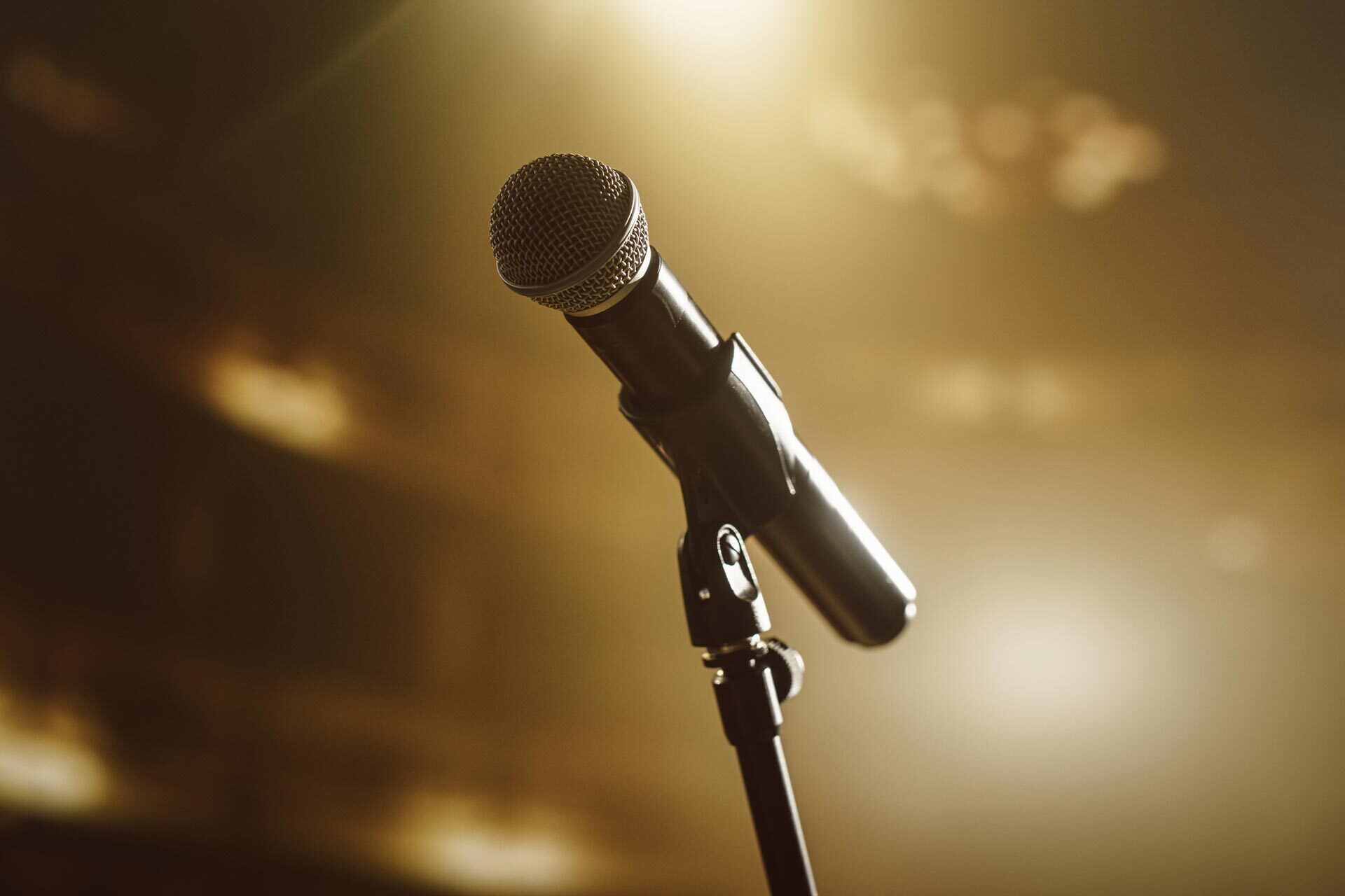 Concert : Les Gamins