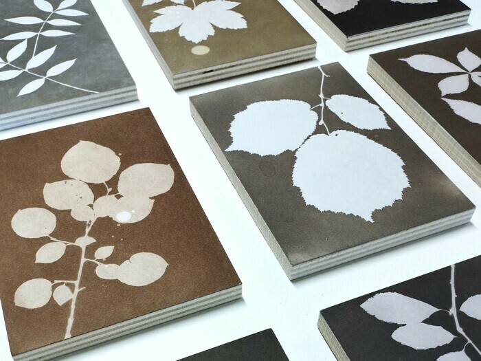 Le Printemps de la Pouponnière, atelier de pratique artistique : cyanotype et teinture végétale
