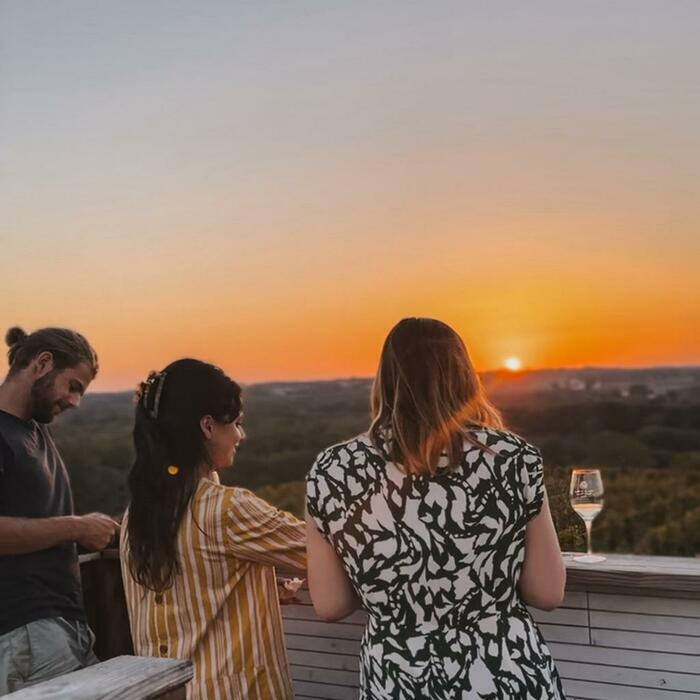 Immersion Vendanges au Château La Tour Blanche
