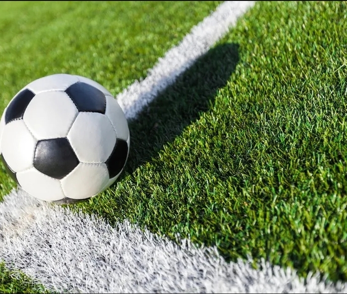 Football : LOSC / Lorient