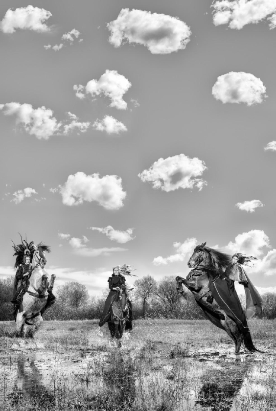 Exposition : Equus à ciel ouvert