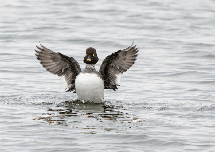 Balade naturaliste : après l’effort, le réconfort !