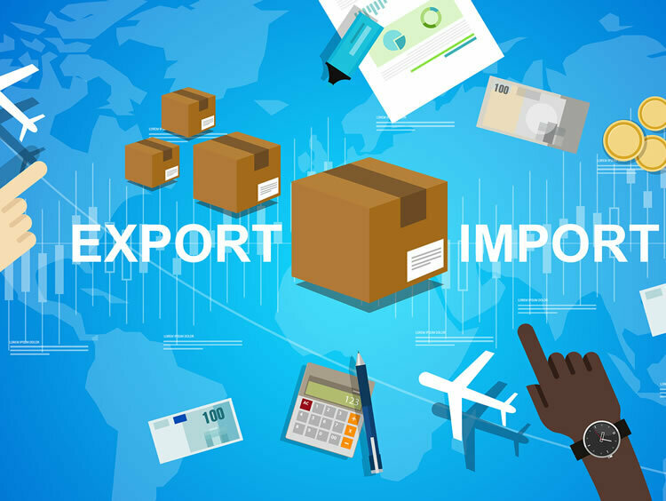 atelier-graines-dexportateursimportateurs-3319718