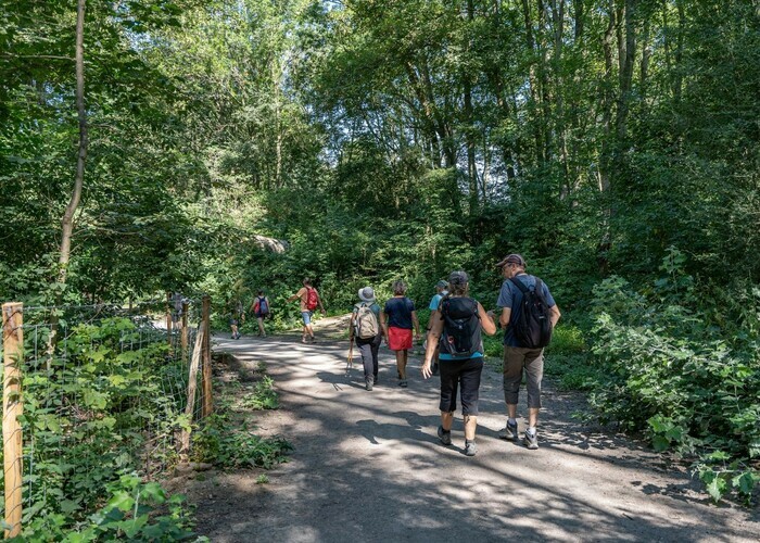 Balade naturaliste : à l’ombre des feuilles