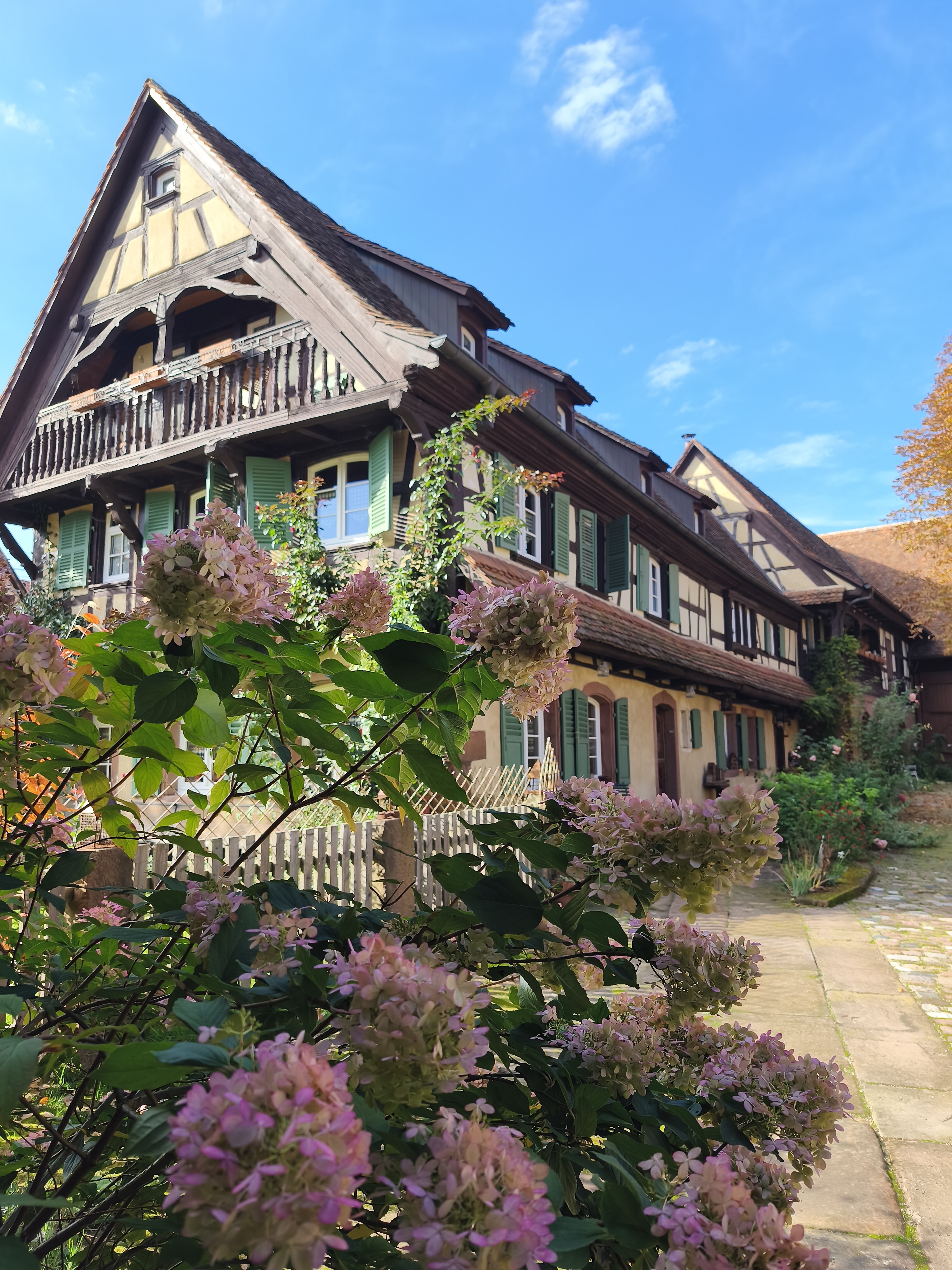 Visite libre du jardin paysager et poétique d'une ancienne ferme alsacienne