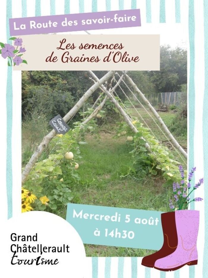 Graine d'Olive