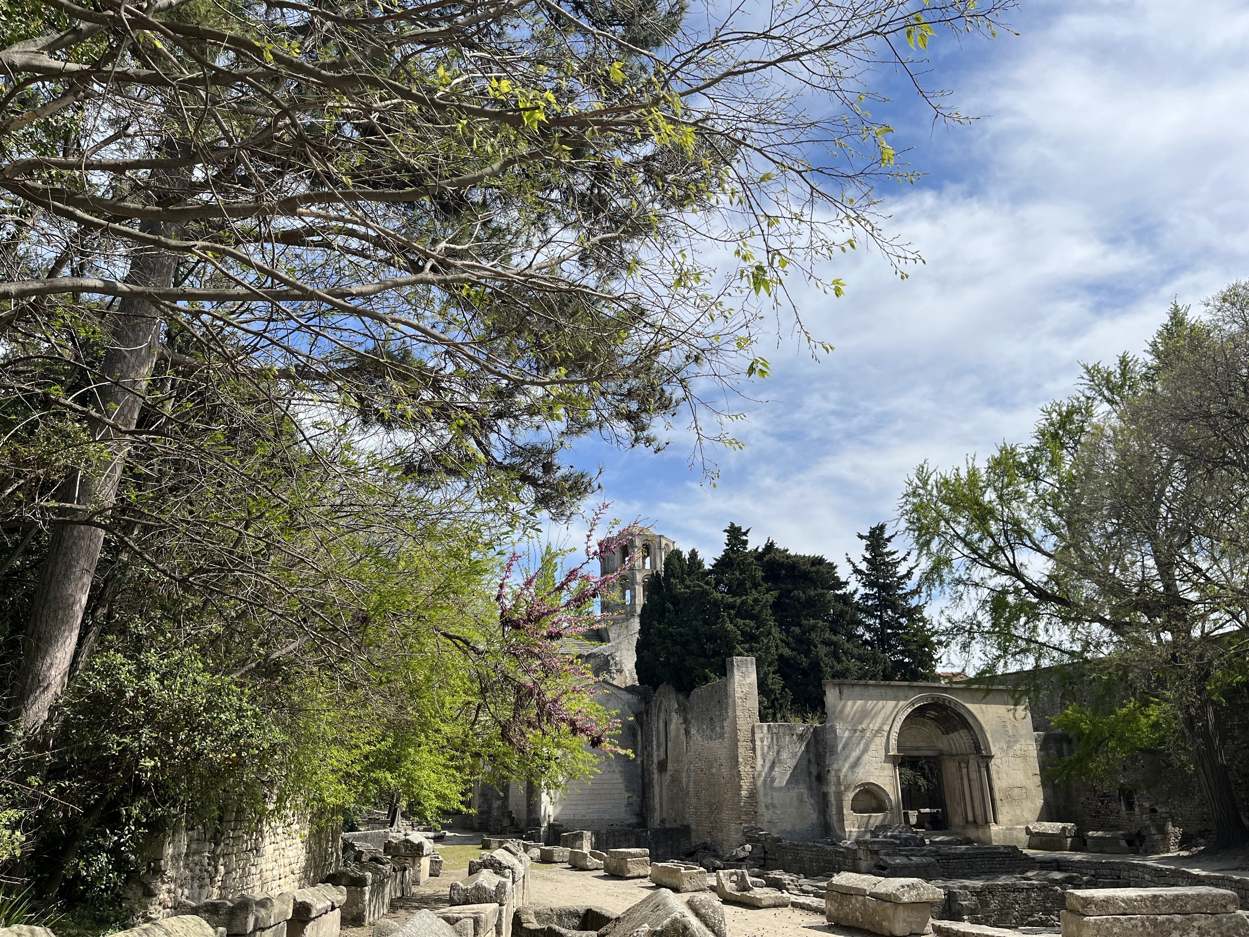 Promenade arborée